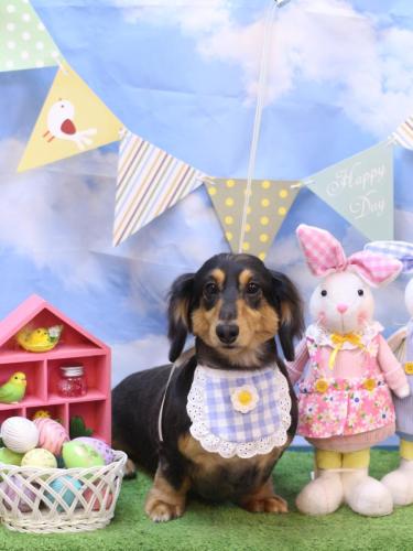 20240319ロイくん